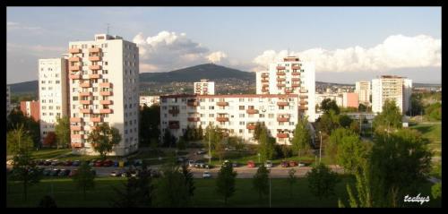 i_439830